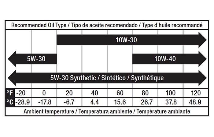 Champion Oil type Recommendation